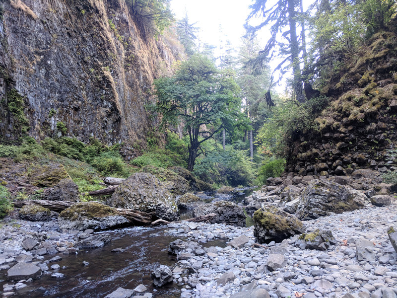 Illustration for article titled Abiqua Falls